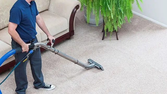 PROFESSIONAL CLEANING - Rugscarpetskelims