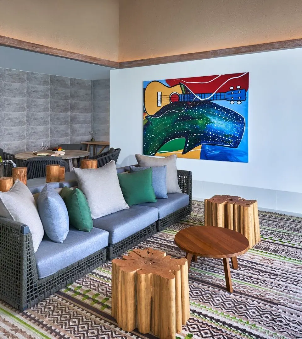 Flat Weave Rugs